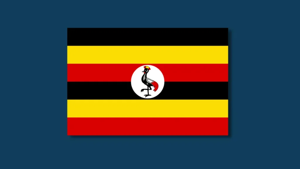 Business Ideas in Uganda